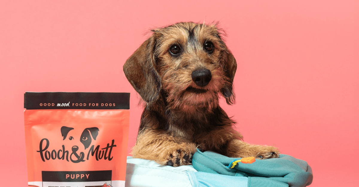 Pooch & Mutt